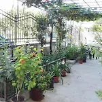 Pensiune Dracena