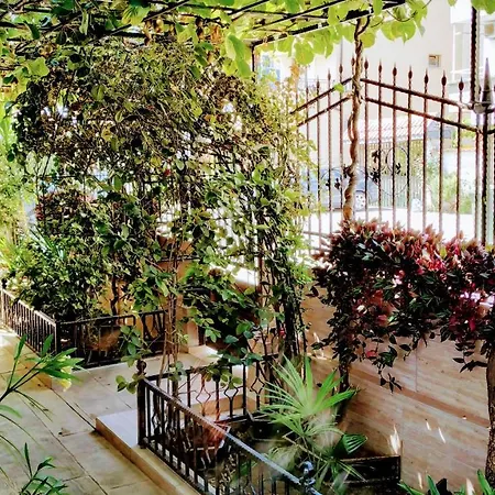 Πανσιόν Dracena *