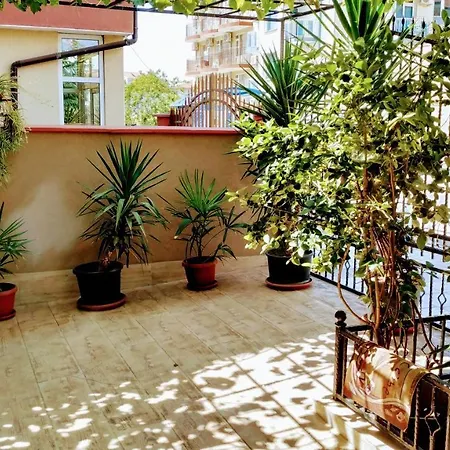 Dracena Ράβντα