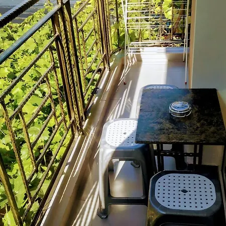 Πανσιόν Dracena