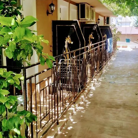 Dracena Πανσιόν