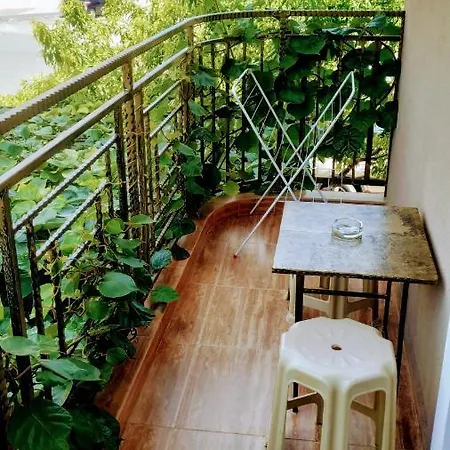 Dracena Πανσιόν Ράβντα