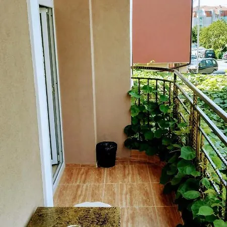 Πανσιόν Dracena