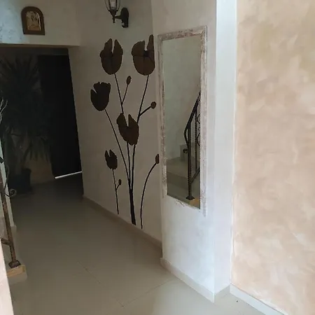 Dracena Ράβντα