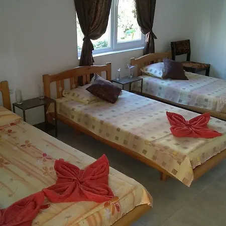 Dracena Ράβντα