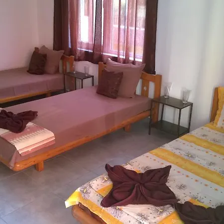 Dracena Ράβντα