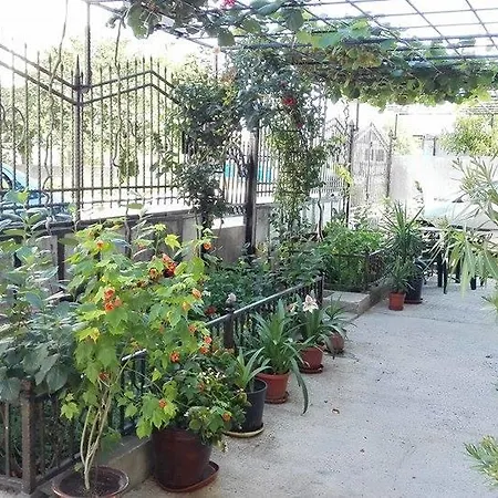 Πανσιόν Dracena